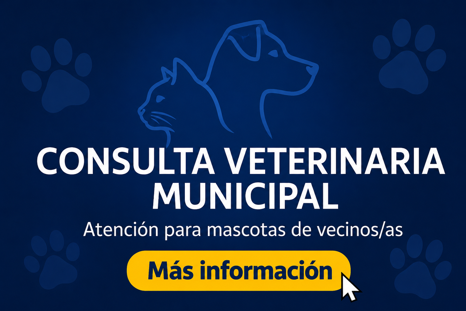 Veterinaria municipal